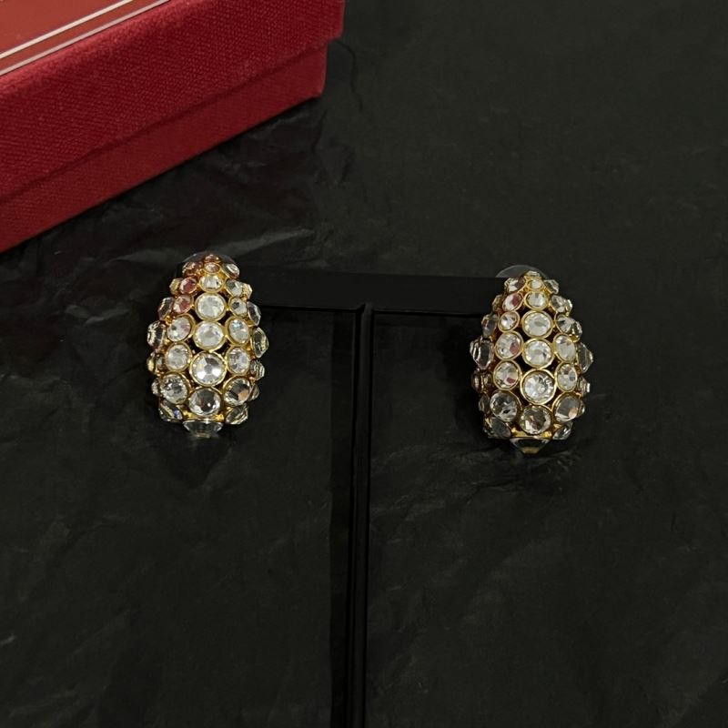 Valentino Earrings